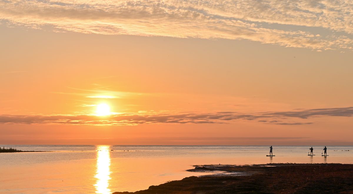 SUP i solnedgång på Gotland